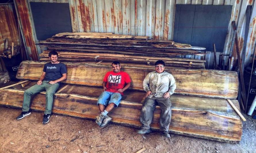 Bosque Hundido: Mueblería sustentable hecha de troncos olvidados