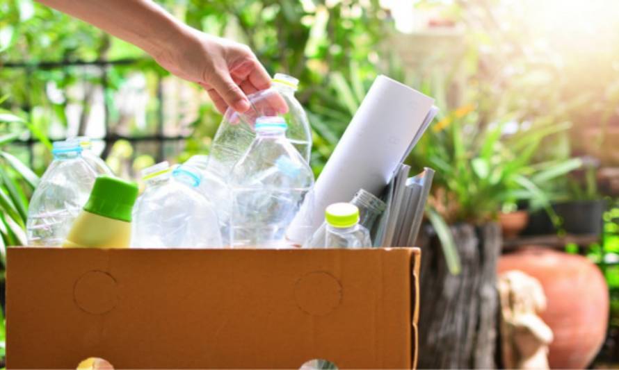 Conoce los puntos limpios de reciclaje en María Pinto y San Pedro