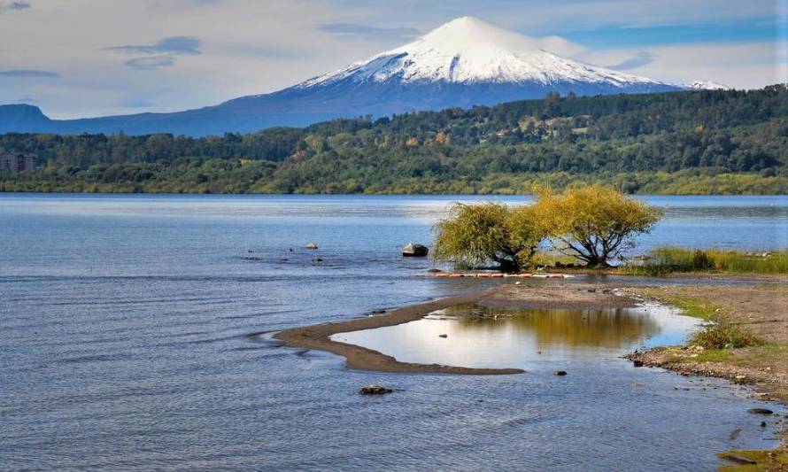 Webinar "Descontaminación de la Cuenca del Lago Villarrica" destacó por participación ciudadana