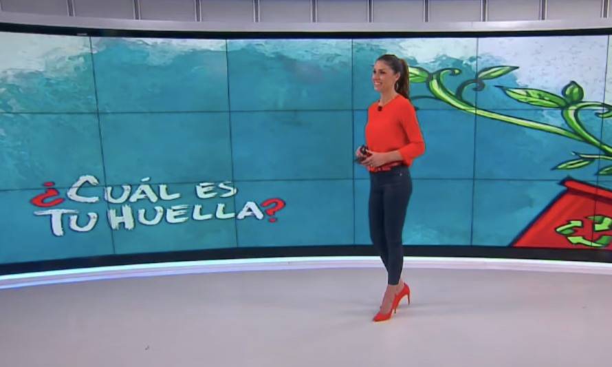 T02 C02 “Tenencia Responsable”