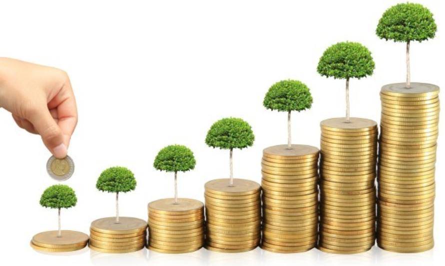 Financiamiento con impacto: Invertir en sustentabilidad