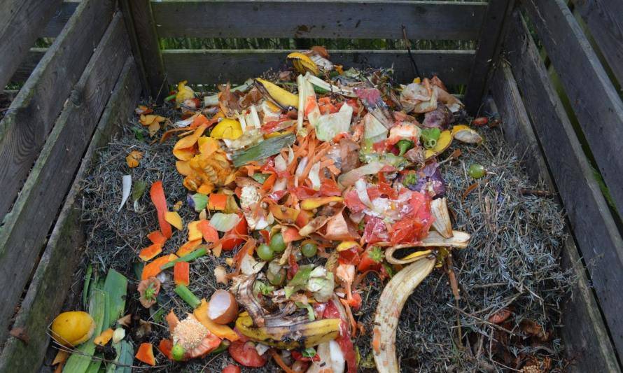Pacha Compost: Recoge residuos a domicilio y facilita kit de compost