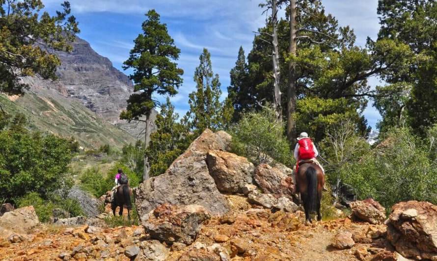 Atrévete a tomar 5 recorridos virtuales para conectar con la naturaleza