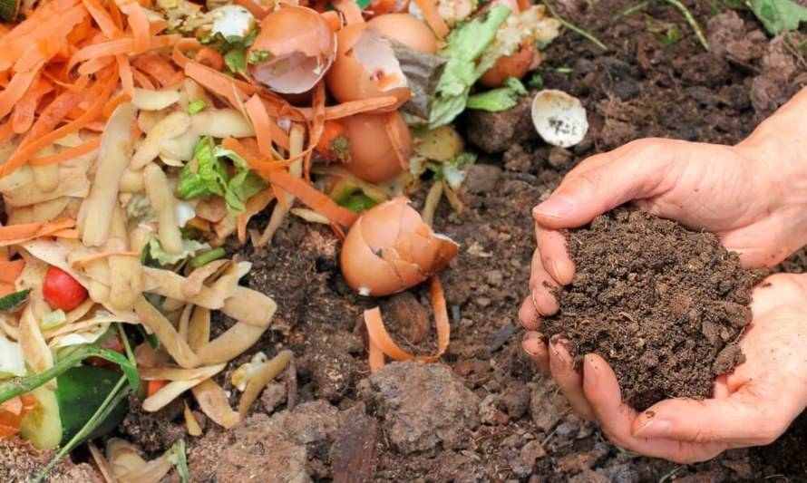 Conoce tres formas de hacer abono en casa