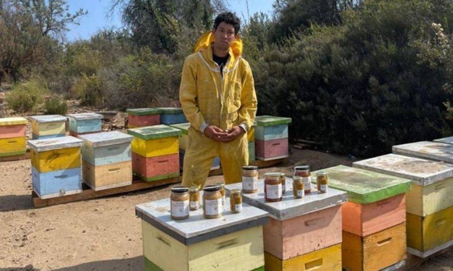 La Abejita de Caleu: el emprendedor de Tiltil que cambió la construcción por la apicultura