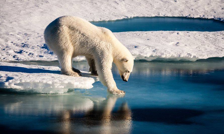 Chile anunció creación de Observatorio de Cambio Climático