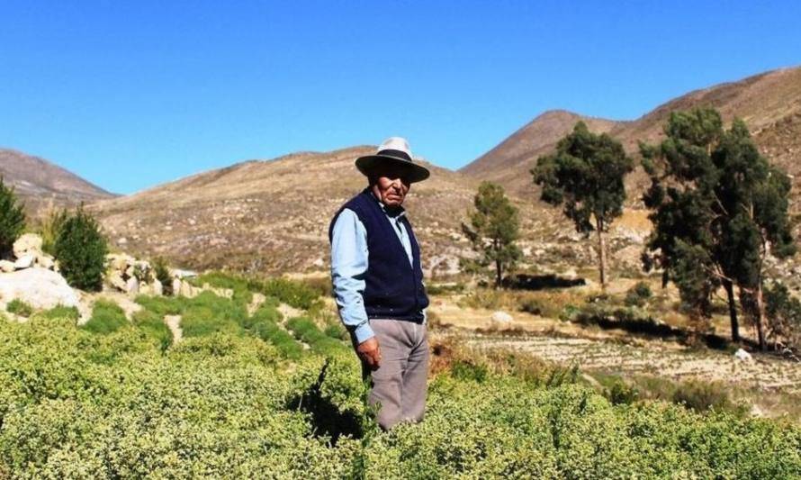 Fundación Lepe invita a viajar por Chile desde la casa en esta cuarentena