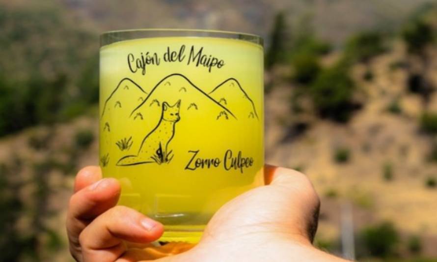 Votella: vasos ecológicos del Cajón del Maipo