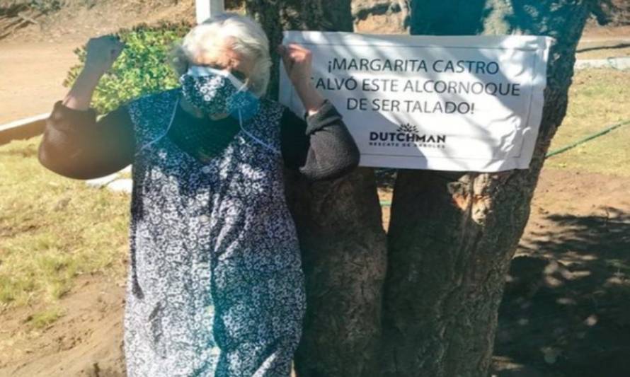 Adulta mayor visita árbol que salvó de ser talado en Talcahuano