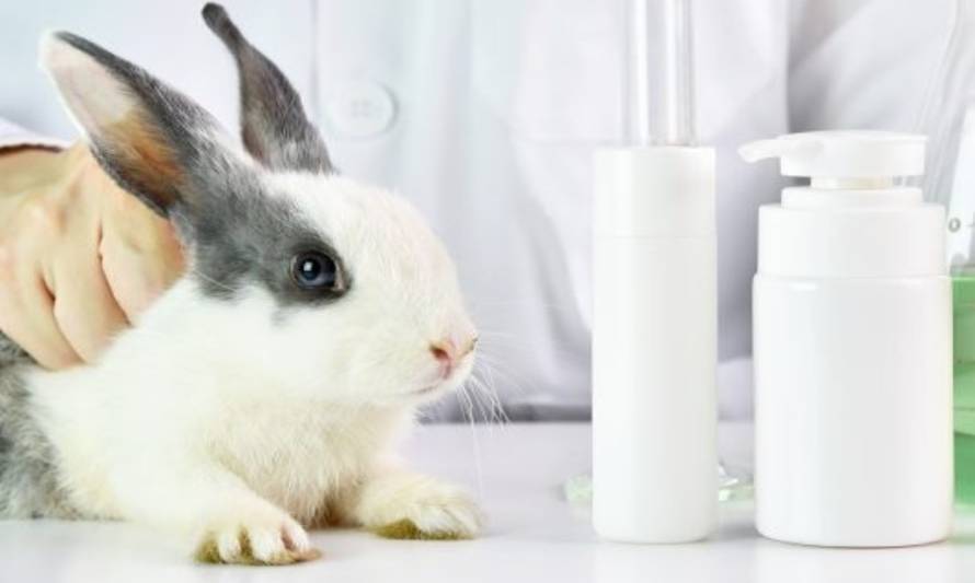 Te Protejo lanzó campaña para prohibir pruebas cosméticas en animales
