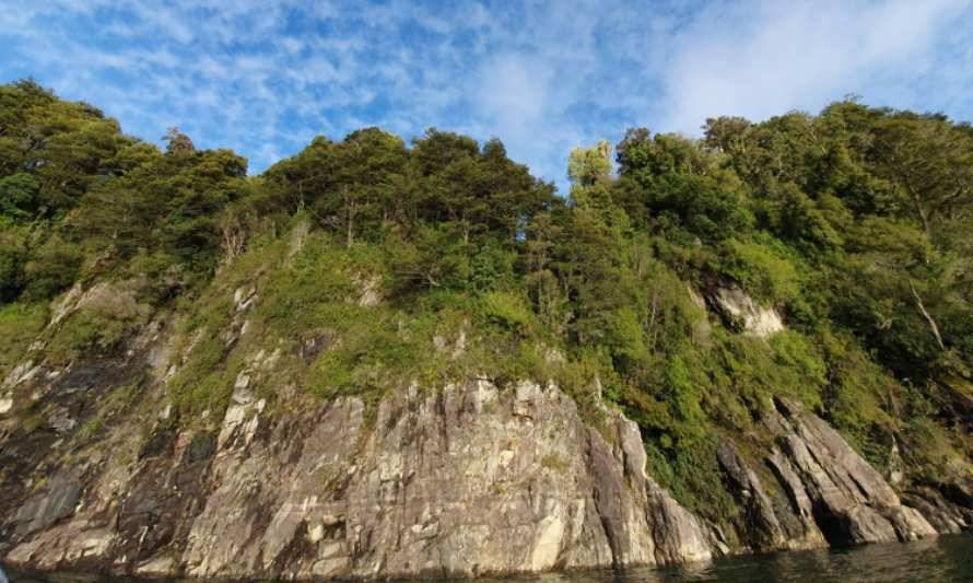 Chile logra primer acuerdo corporativo para la conservación de tierras
