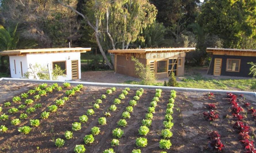 Conoce el área de la construcción basada en el ecohábitat
