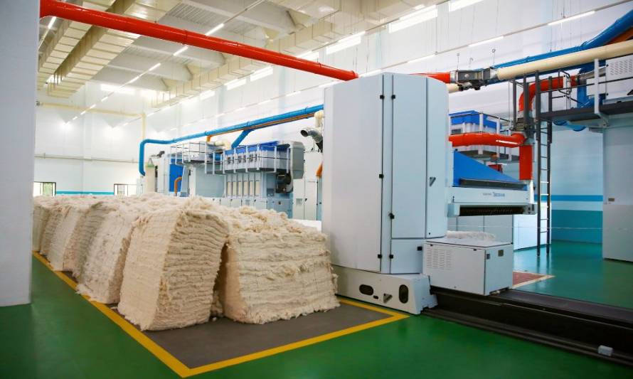 LLegan a Chile protocolos de producción sustentable de algodón