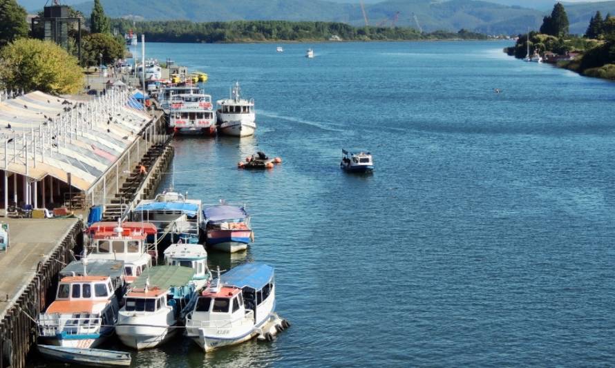 WWF Chile propone ideas para que las ciudades enfrenten el cambio climático