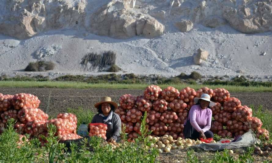 Conoce más sobre el primer concurso nacional de riego y eficiencia hídrica 