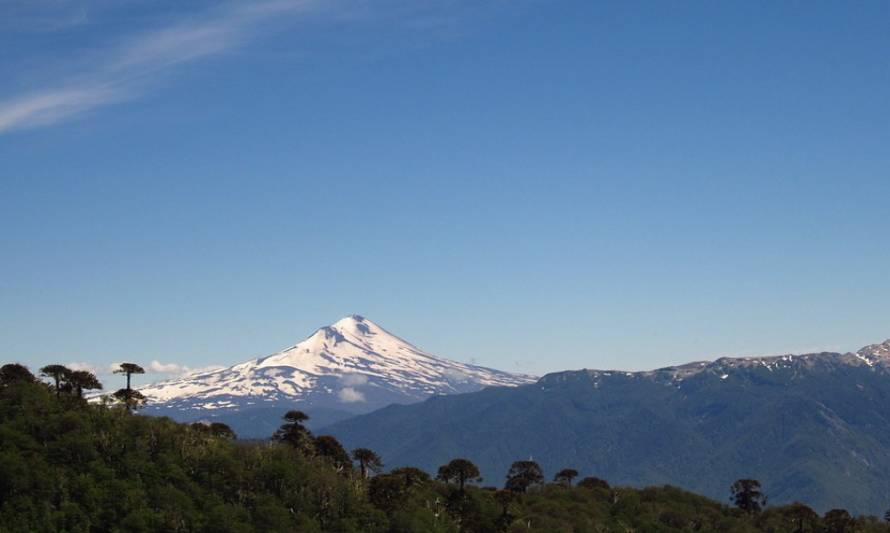 WWF Chile avanza en el Plan Nacional de Restauración