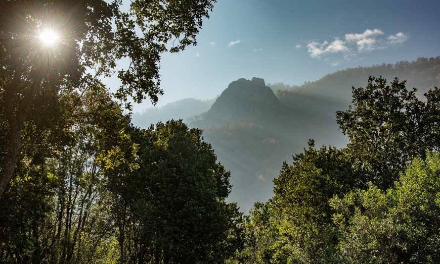 Día de la Diversidad Biológica: Los desafíos de la conservación de tierras en Chile