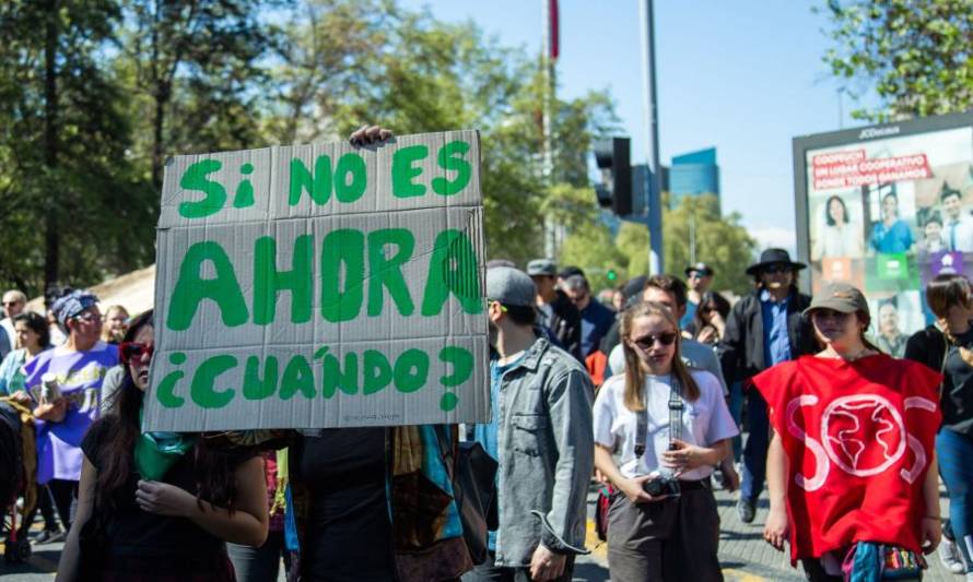 Jóvenes se organizan para dar un enfoque medioambiental al proceso constituyente 