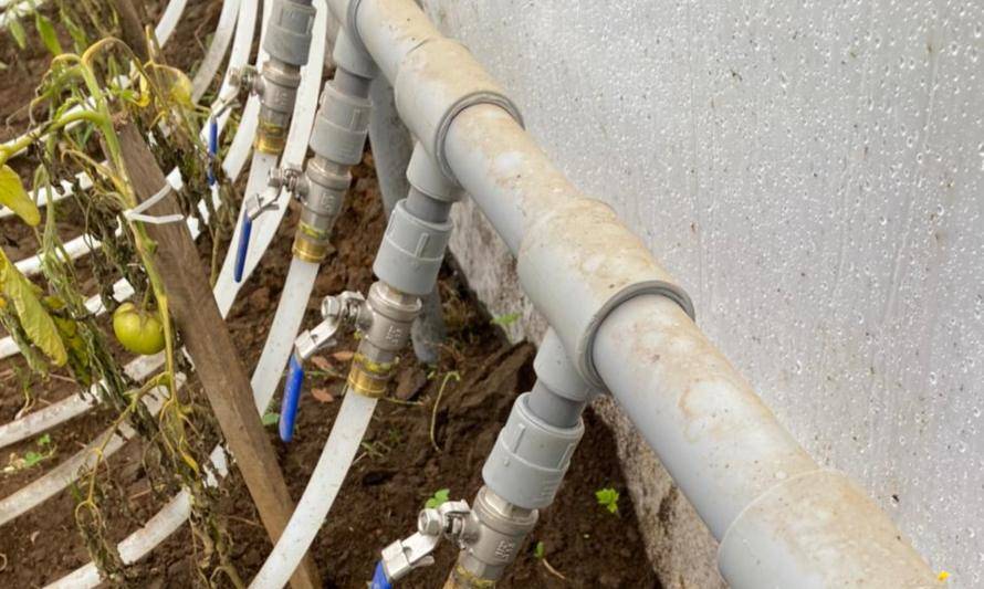 Inauguran primer invernadero en Chile calefaccionado con agua termal