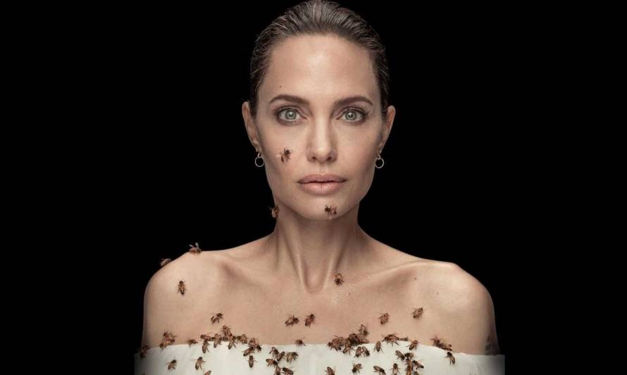 Angelina Jolie posa con cuerpo cubierto de abejas para incentivar su protección