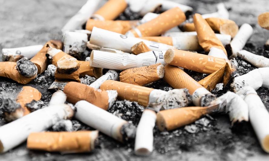Comisión de Medio Ambiente aprueba prohibición de fumar en playas, lagos y ríos