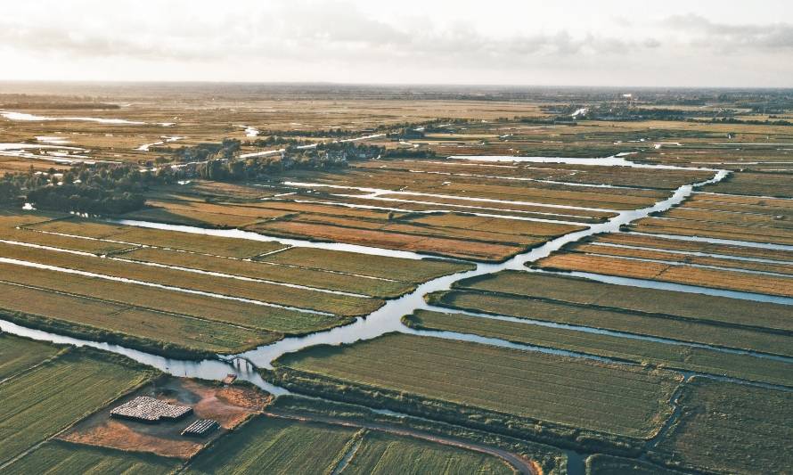 Cámara aprueba proyecto que tipifica como delito el robo de agua 