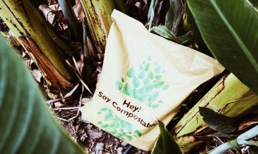 EcoFirst: bolsas compostables y biodegradables