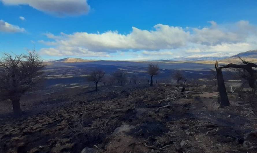 Controlan incendio forestal en Parque Nacional Patagonia