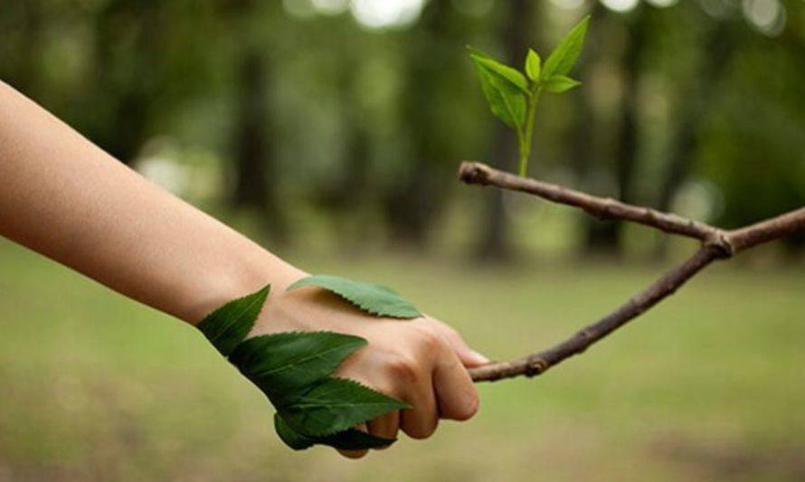 Conoce 4 formas de ser más sustentables en casa