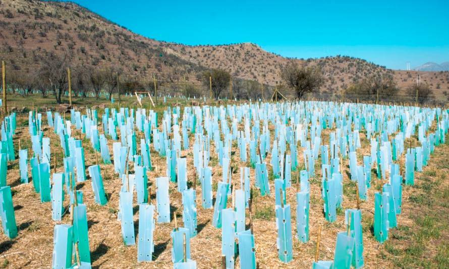 Biocys gana nuevamente Premios  Latinoamérica Verde