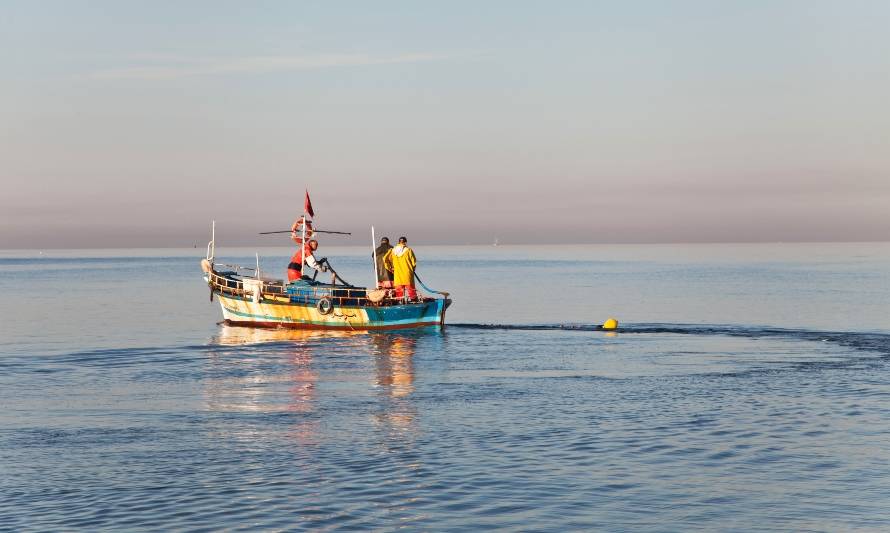 Caleta San Pedro: pescadores comprometidos con la  sustentabilidad y la naturaleza