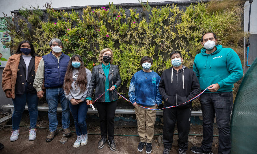 Jardines verticales se suman como nuevos pulmones verdes para Tocopilla