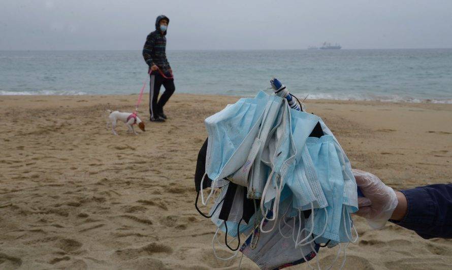 Día Internacional Limpieza Playas: Viña del Mar se sumó a la iniciativa