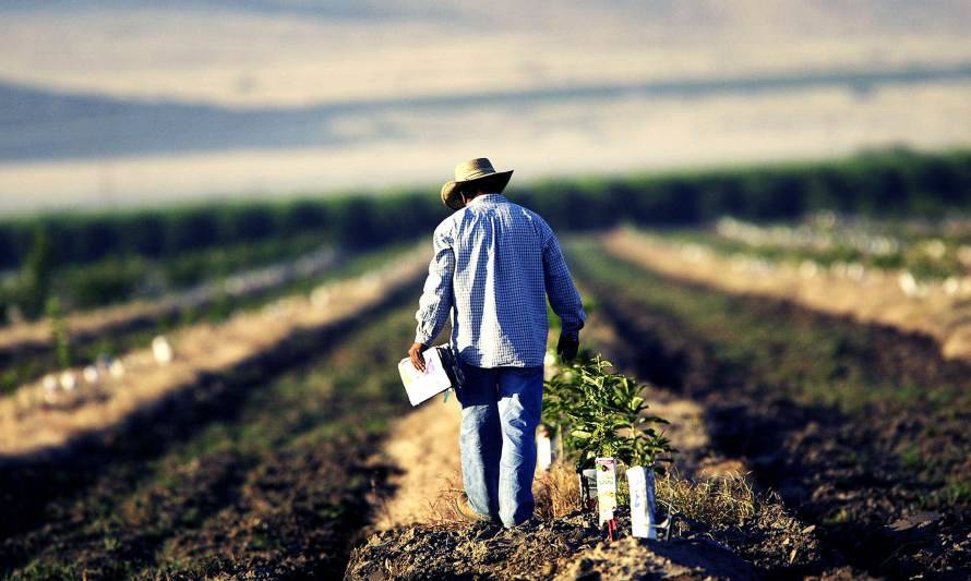 Agricultura sustentable: la importancia de respetar la biodiversidad