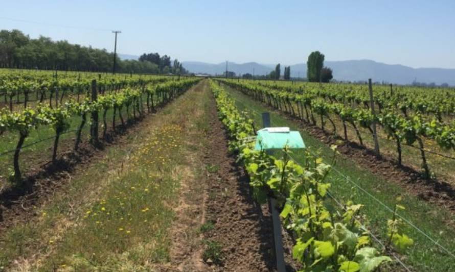 Neltume creó innovador dispositivo tecnológico que mejora las aplicaciones de agroquímicos