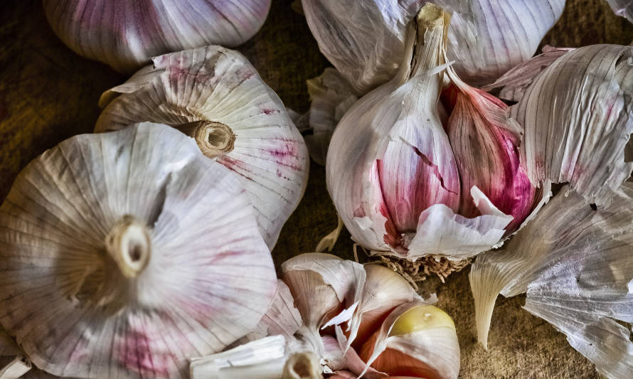 Cuida tu salud con los beneficios del ajo