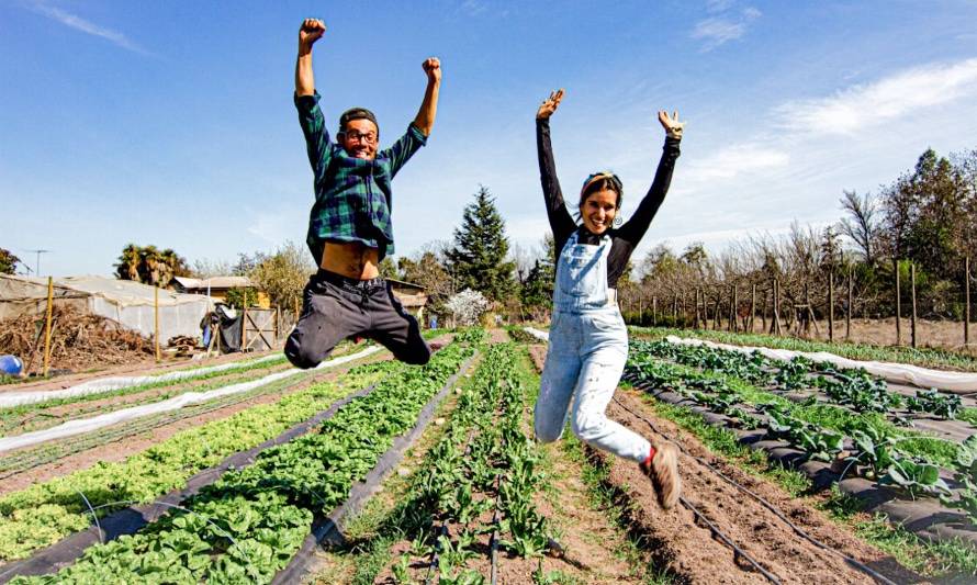 Pareja de agricultores cultiva frutas y verduras libres de pesticidas