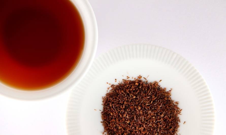 Beneficios del té rooibos: la hierba africana que cuida tu salud
