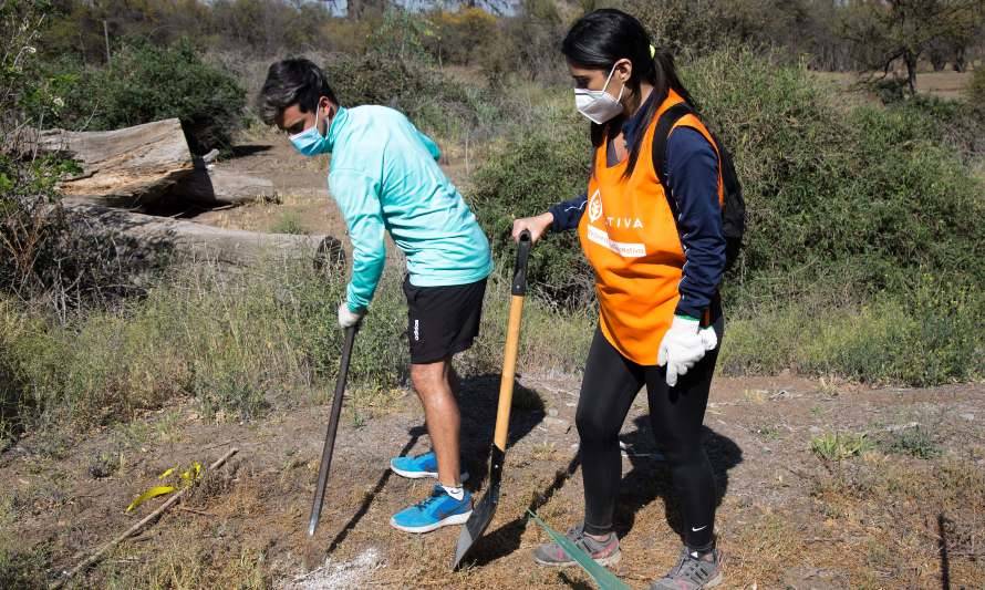 Plantan 250 árboles de especies nativas en Peñalolén