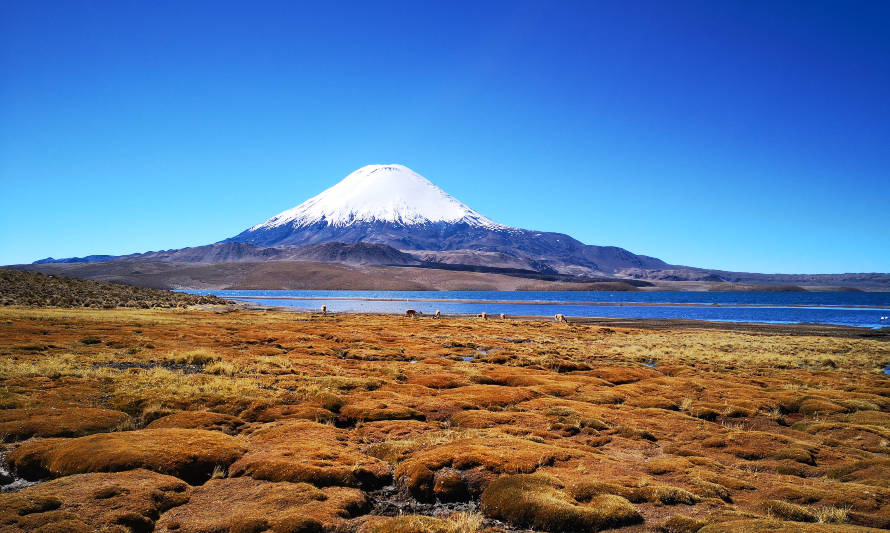 Conoce las opciones de turismo sustentable en Arica y Parinacota