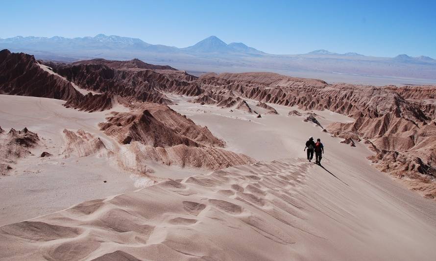 Conoce las opciones de turismo sustentable en Antofagasta