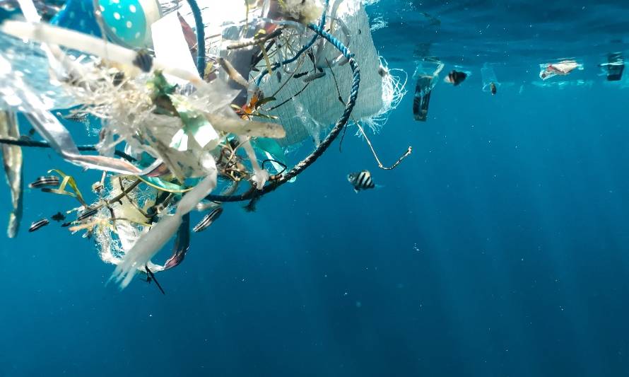Diálogo multisectorial busca avanzar en un futuro tratado internacional de residuos marinos plásticos 