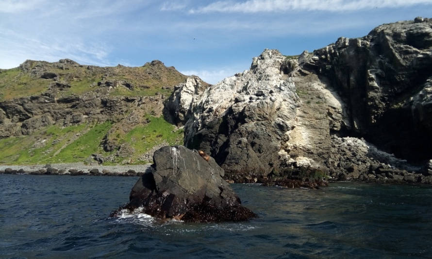 Aprueban creación de Área Marina Archipiélago de Humboldt