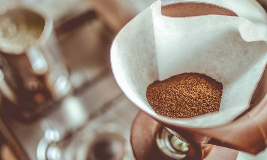 Utiliza los residuos del café como fertilizante para tus plantas