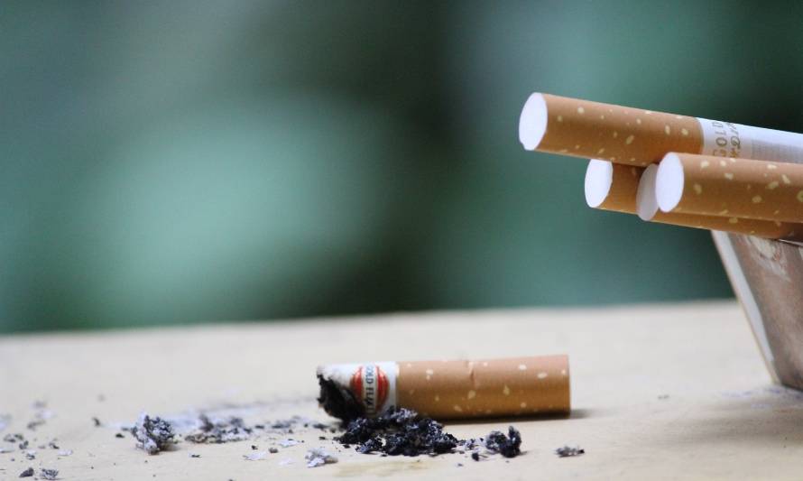 Startup Imeko crea el primer pellet del mundo con filtros de cigarros reciclados