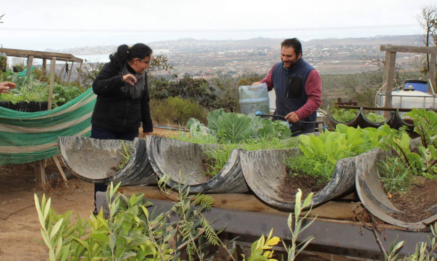 "La Pachamama": granja utiliza economía circular para autoconsumo 