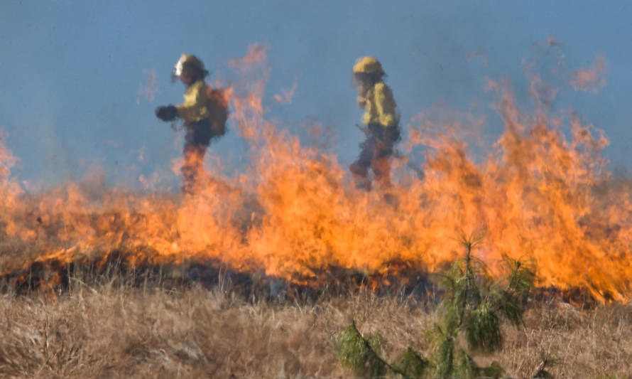 Innovación chilena permite disminuir 70% el agua usada para apagar incendios