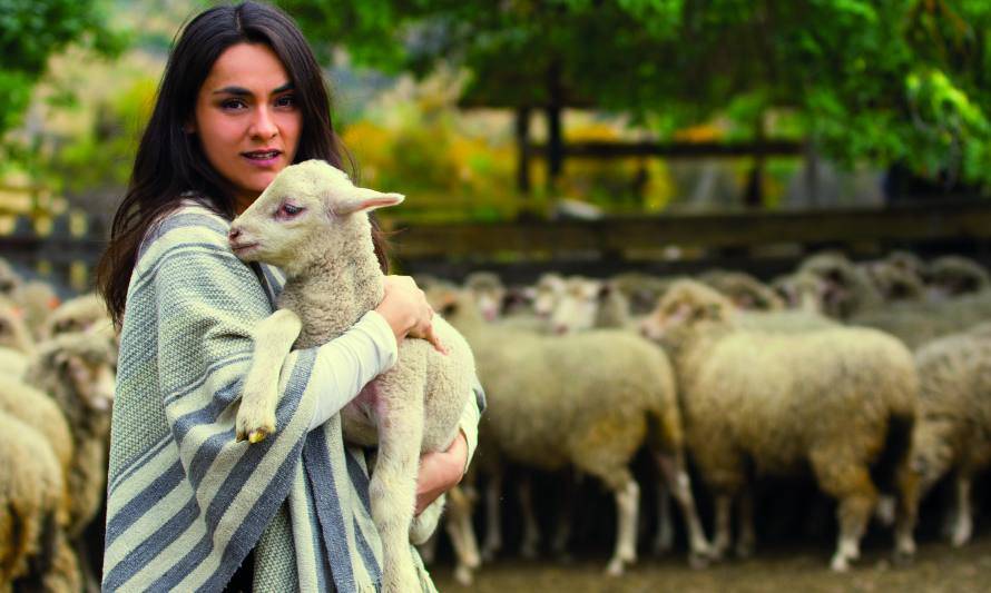 Artesanas de lana merino buscan posicionarse en el mercado de productos exclusivos