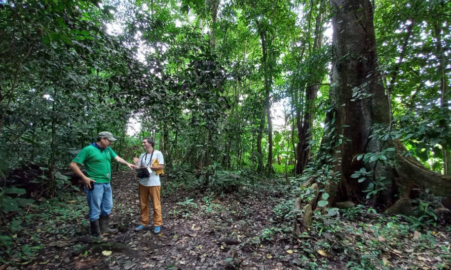 Organizaciones de Chile y Costa Rica trabajan por la resiliencia climática y la carbono neutralidad