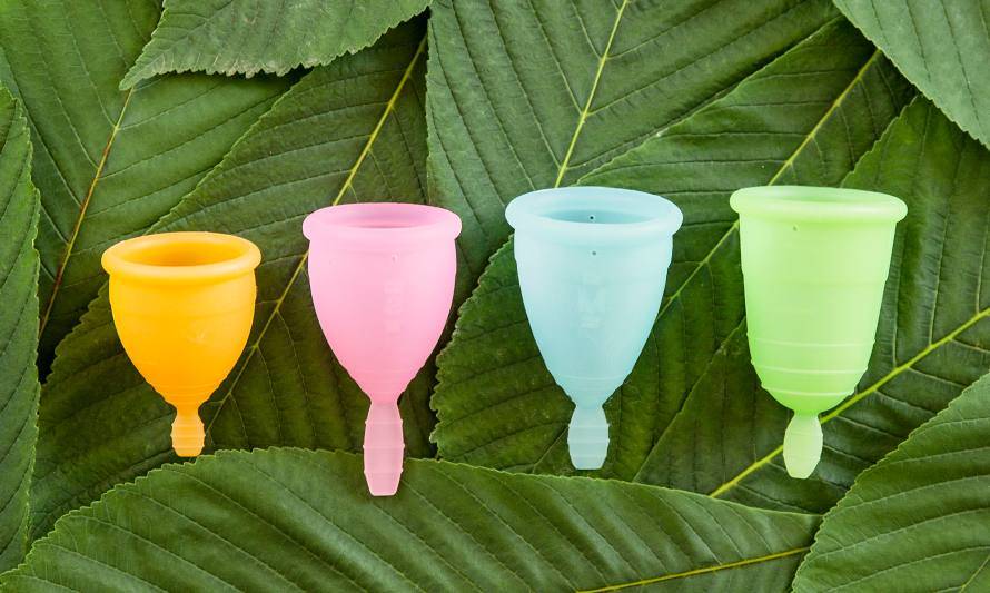 Lanzan campaña para reciclar copas menstruales